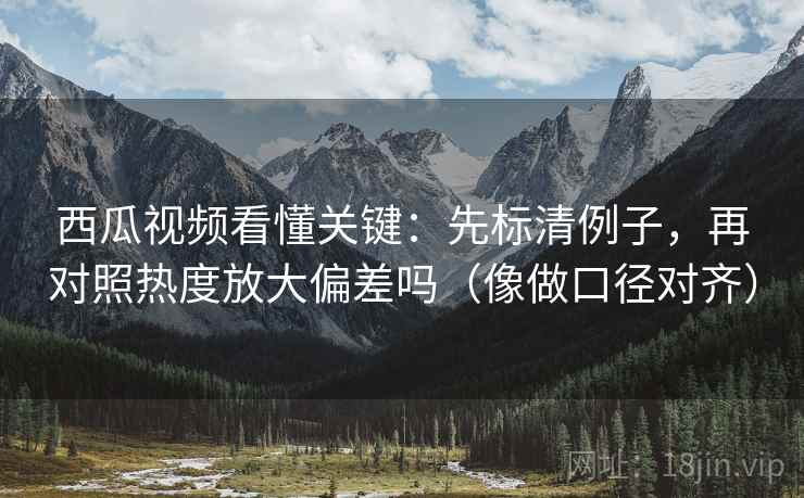西瓜视频看懂关键：先标清例子，再对照热度放大偏差吗（像做口径对齐）